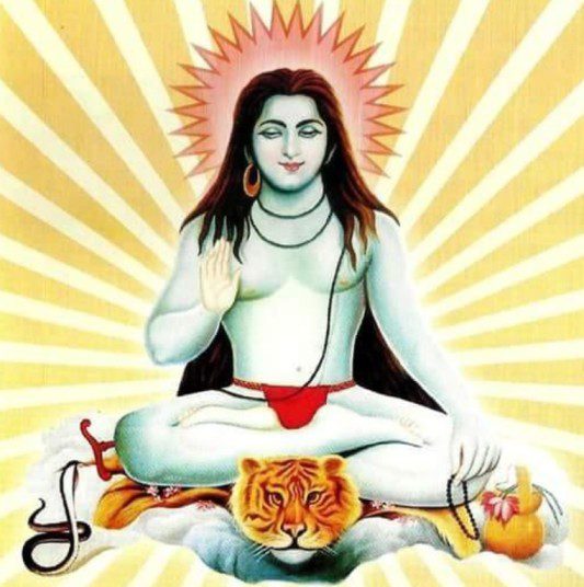 श्री चन्दर जी महाराज